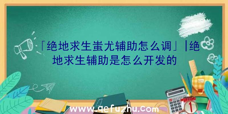 「绝地求生蚩尤辅助怎么调」|绝地求生辅助是怎么开发的